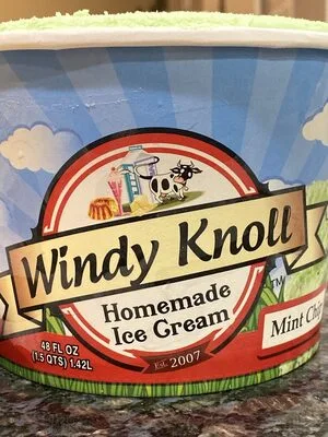 Mint Chip