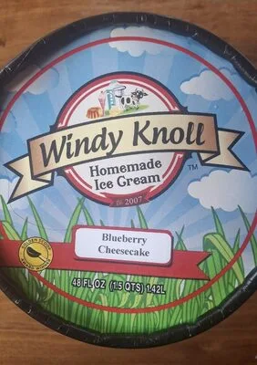 Blueberry Cheesecake Ice Cream