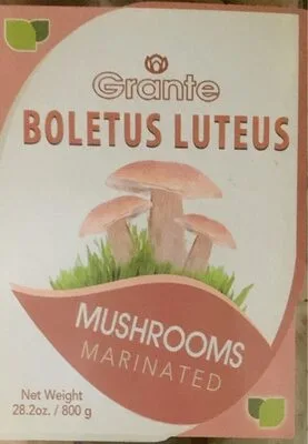 Boletus Luteus Mushrooms Marinated