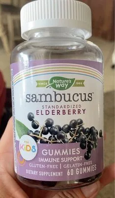Sambucus elderberry