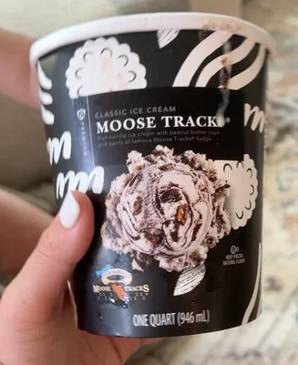 Moose Tracks Classic Ice Cream