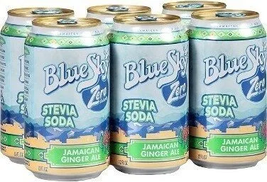 Zero sugar ginger ale soda