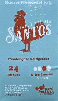 Egg Large By Granja Avicola Santos