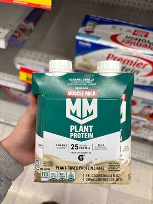 Plant Protein