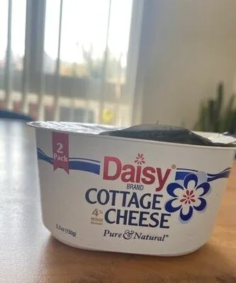 Daisy Cottage Cheese