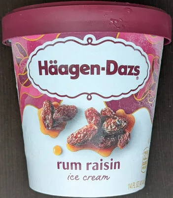 Rum Raisin Ice Cream