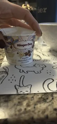 vanilla chocolate chip ice cream