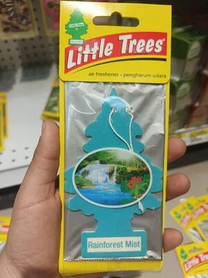 Little trees rainforest mist