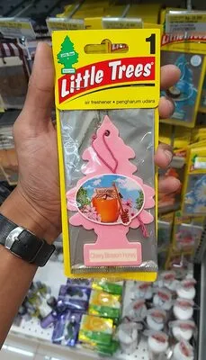 Little trees - cherry blossom