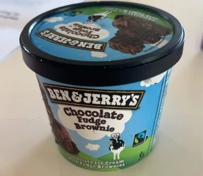 Ben & Jerry’s Chocolate Fudge Brownie