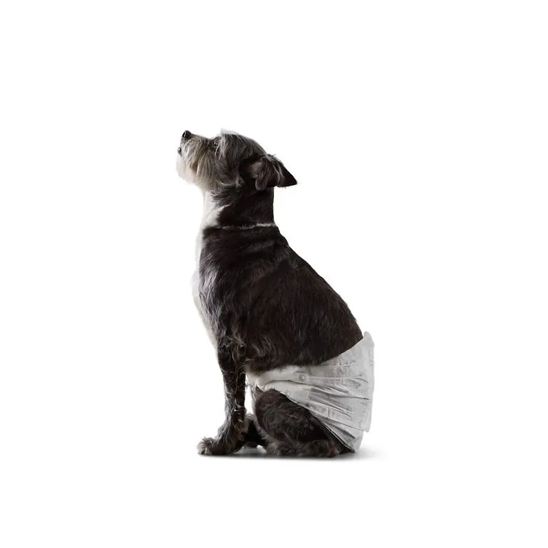 Fraldas Descartáveis Amazon Basics Para Cães Machos, Pequenas, Pacote Com 50