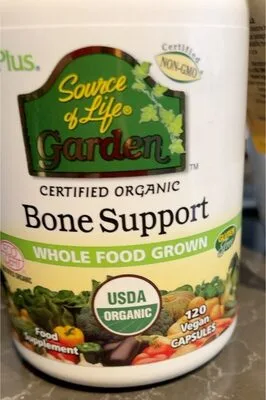 Bone support