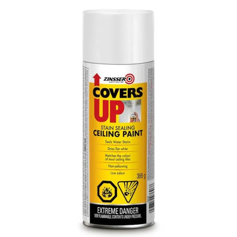 Zinsser Covers Up 369-gr White Flat Stain-Sealing Spray Ceiling Paint