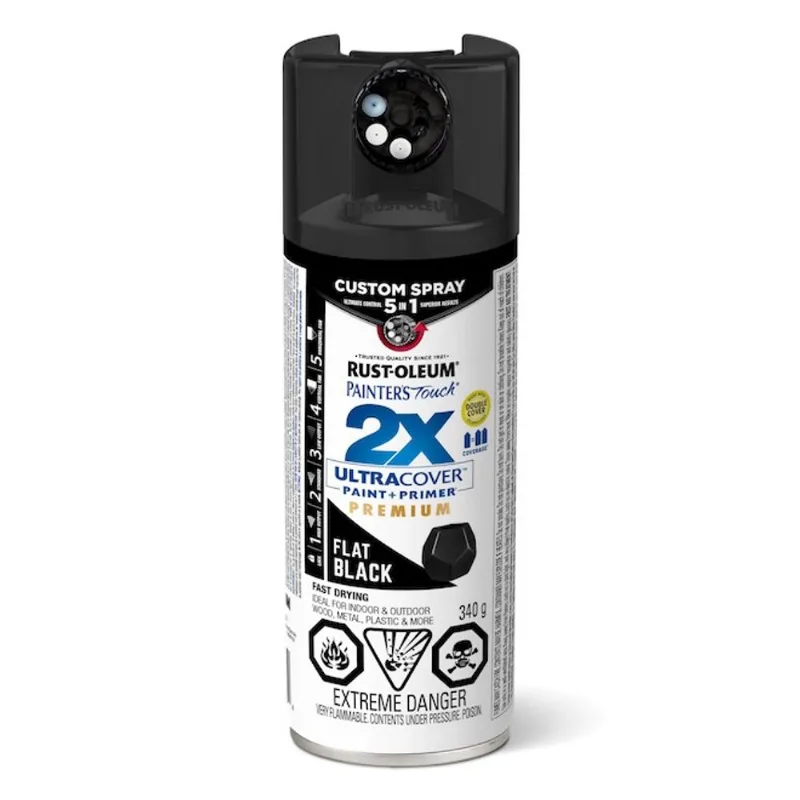 Rust-Oleum Painter's Touch 340-g 5 in 1 Matte Black Spray Paint and Primer