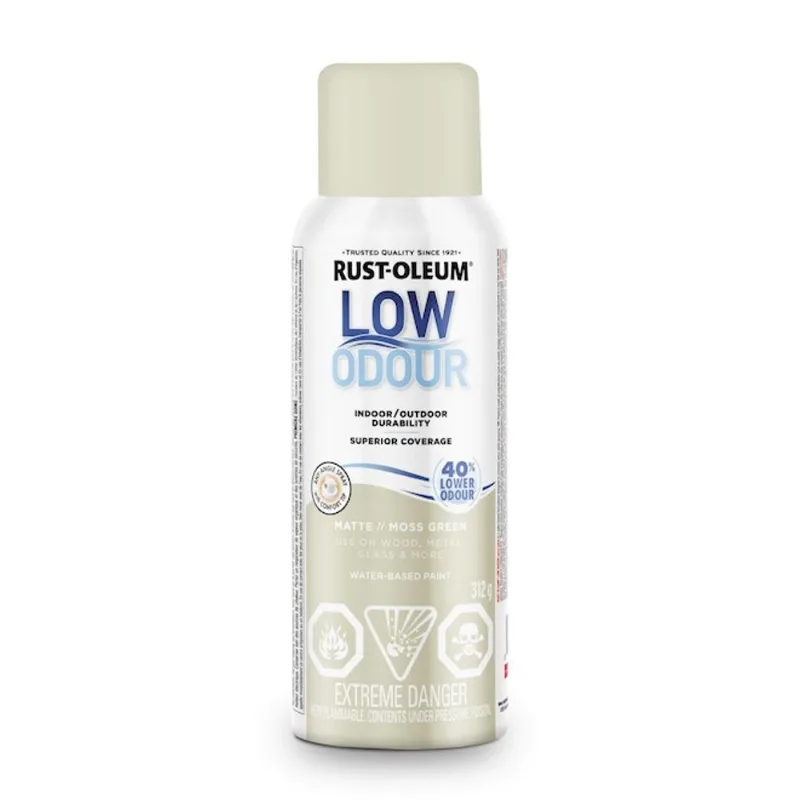 Rust-Oleum 312-g Water-Based Low Odour Matte Light Green Spray Paint