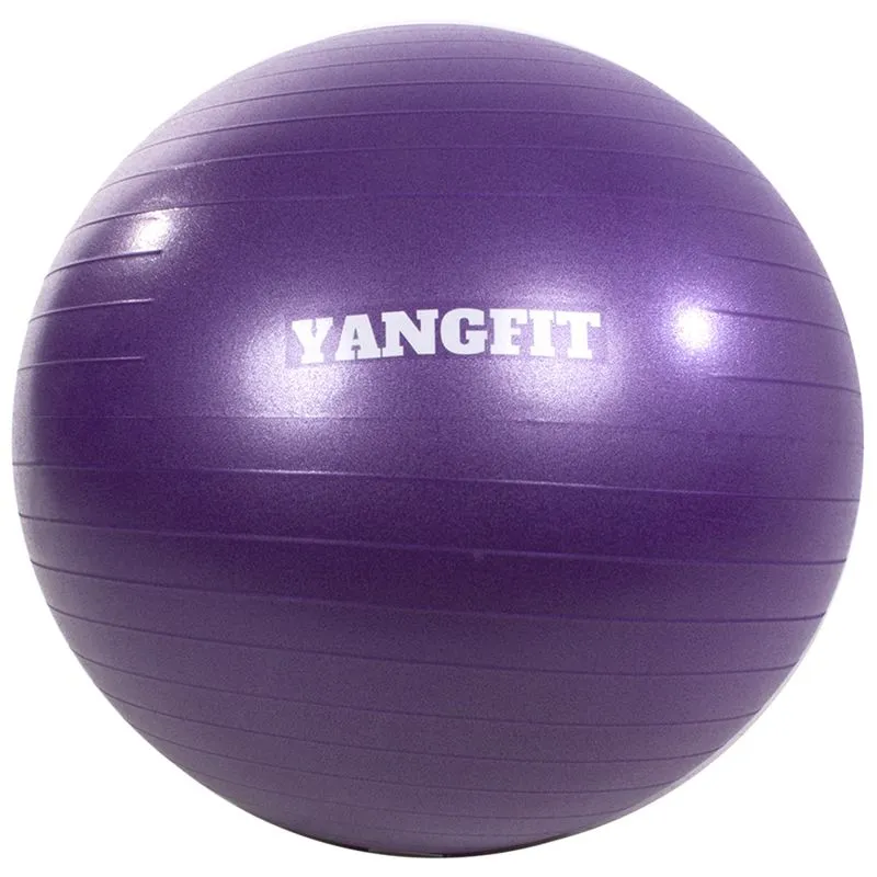 Bola Suiça Pilates Yoga 55cm Com Bomba de Encher