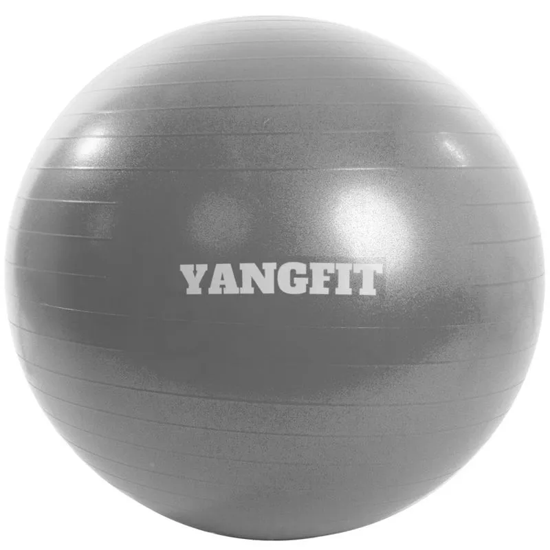 Bola Suiça Pilates Yoga 55cm Com Bomba de Encher