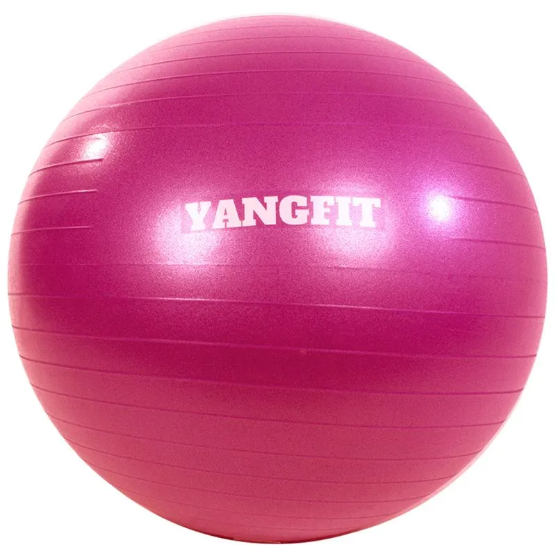 Bola Suiça Pilates Yoga 75cm Com Bomba de Encher