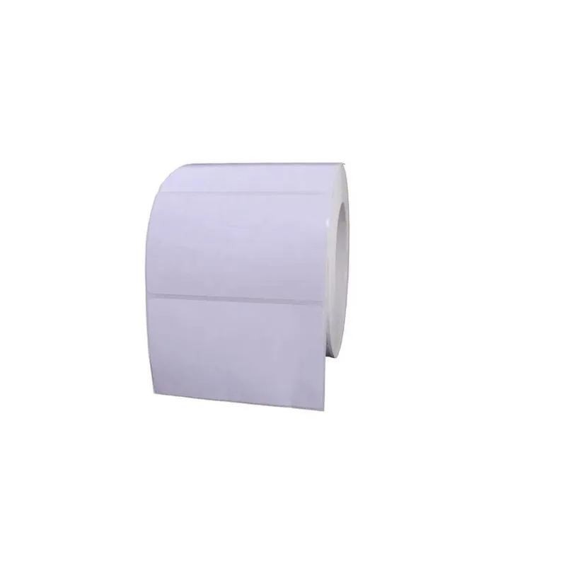 Kit 10 Rolos Etiqueta Bopp Adesiva 10X5 Cm 100X50 Mm