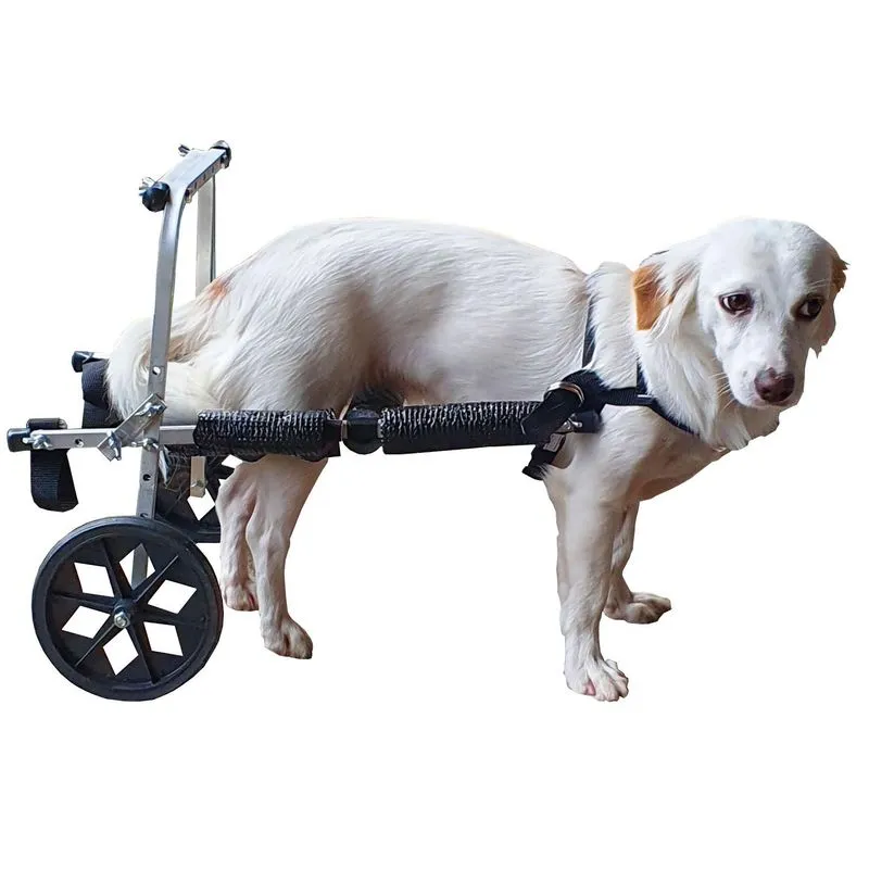 Cadeira De Rodas Para Cachorro Pequeno Porte De 3,5 A 7kg