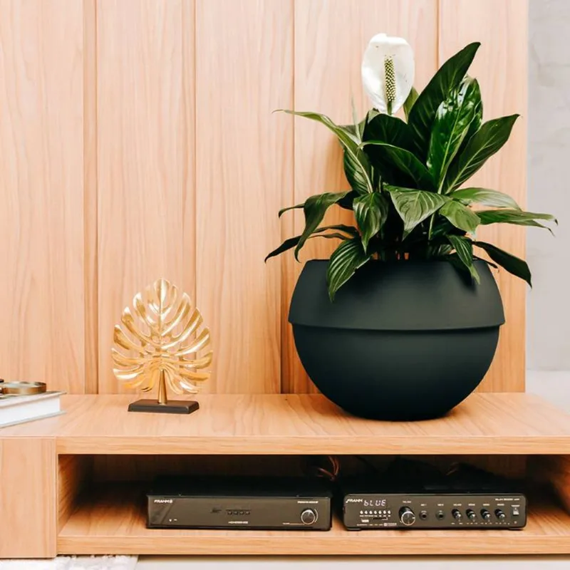 VASO COSMOS 31 PRETO ABSOLUTO