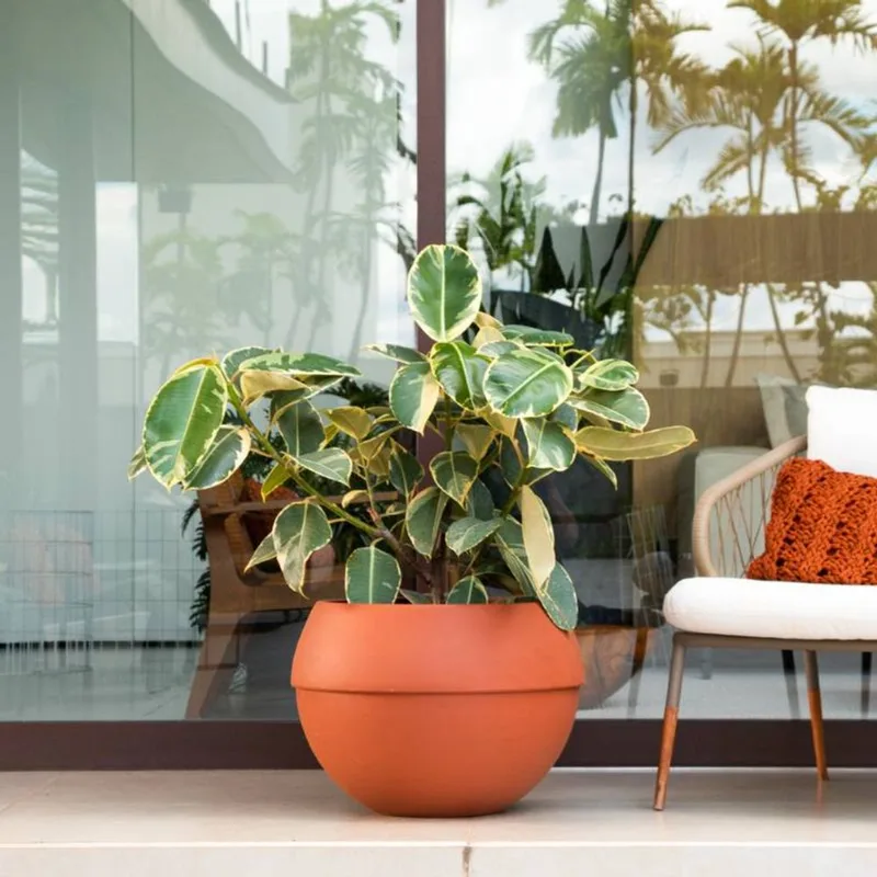 VASO COSMOS 40 TERRACOTA