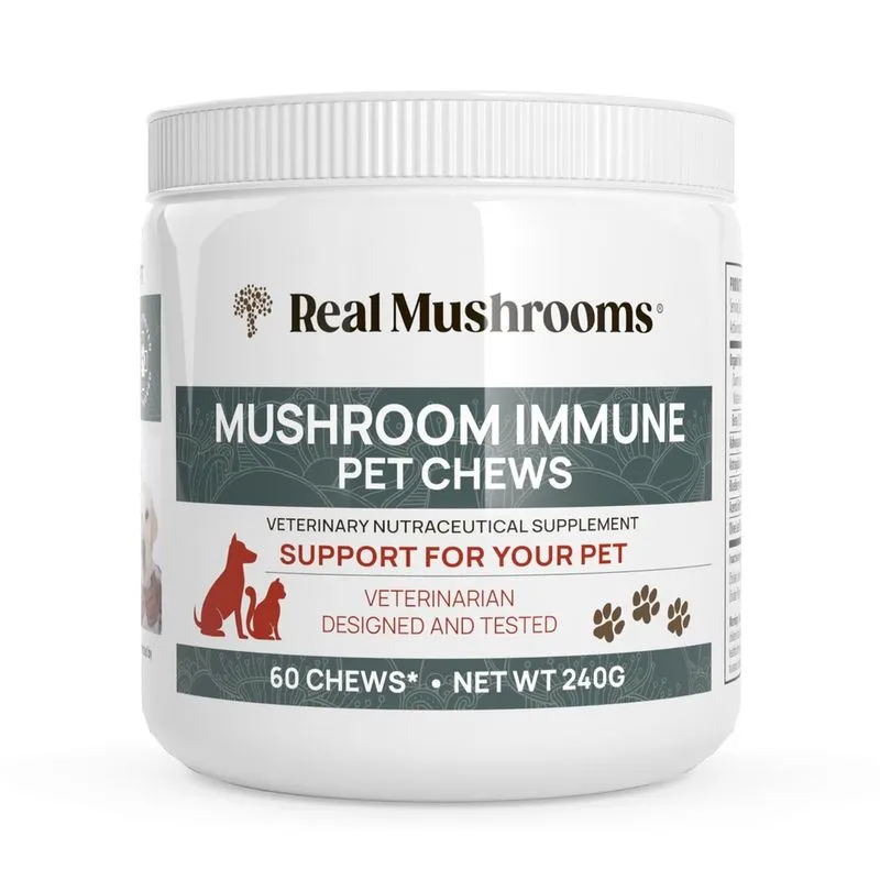 Suplemento Real Mushrooms Pet Immune Chews para cães (60 quilates)