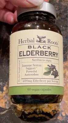 Black elderberry
