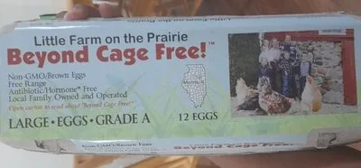 Large eggs