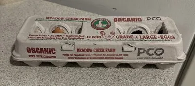 Organic Large Egg