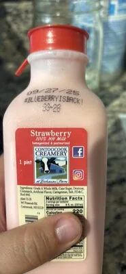 Strawberry 100% NH Milk