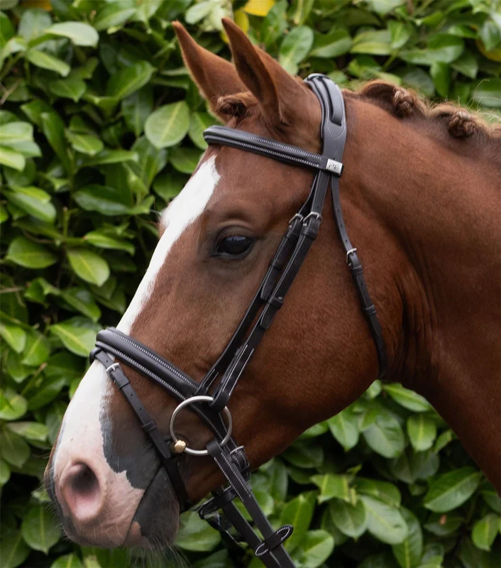 Bridle | Premier Equine Pro Elevator Pony / Dark H.Brown