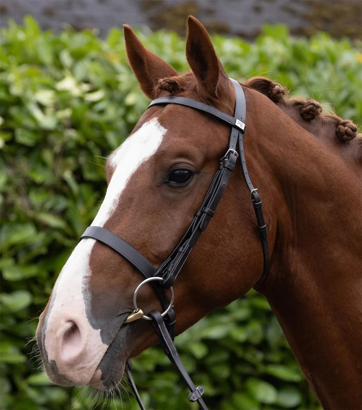 Bridle | Premier Equine Hunter X-Full / Dark H.Brown