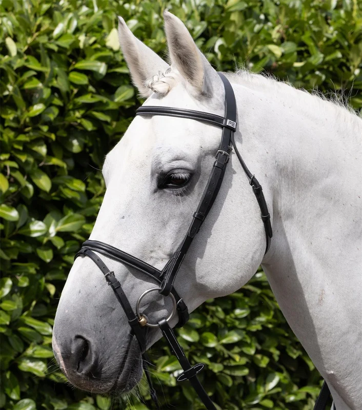 Noseband | Premier Equine Raised Jumping Pony / Black