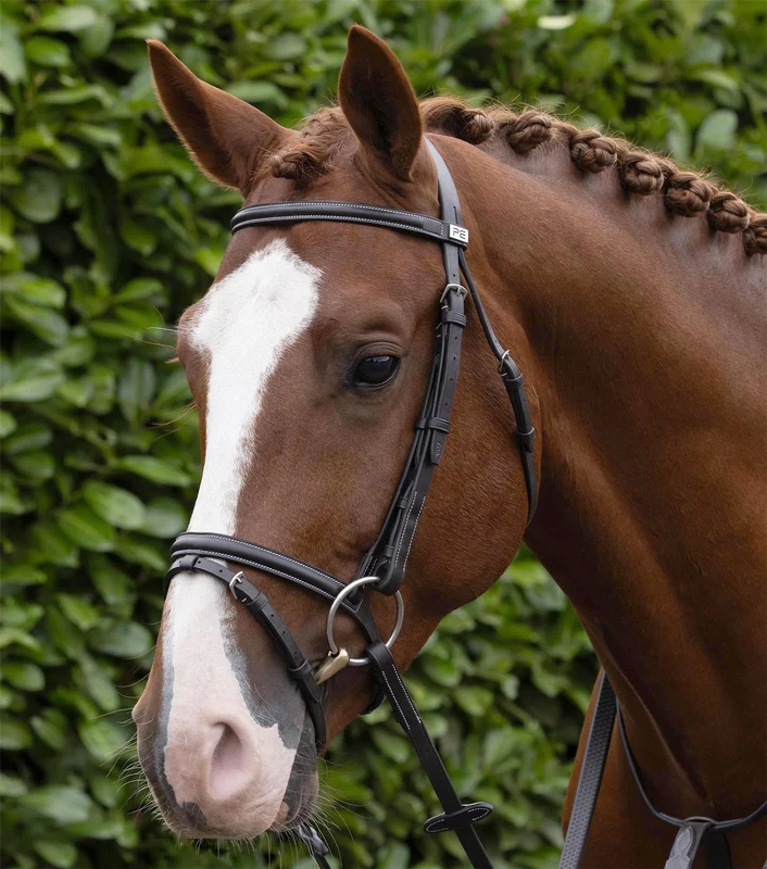Noseband | Premier Equine Raised Jumping Cob / Dark H.Brown