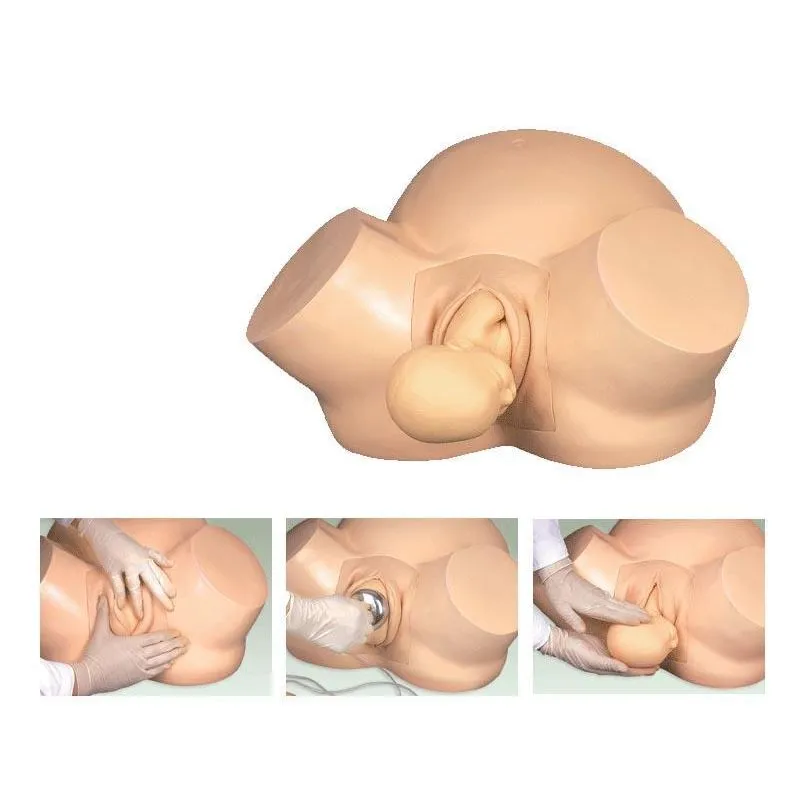 Simulador De Treinamento De Obstetrícia
