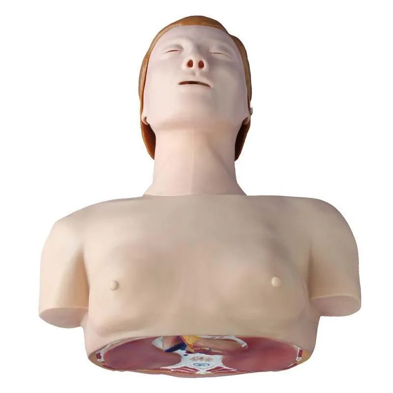 Torso Modelo Manequim Para Treinamento De Rcp
