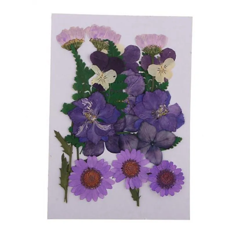 3xmultiple Mix Natural Pressed Dried Flowers Leaves Diy Art