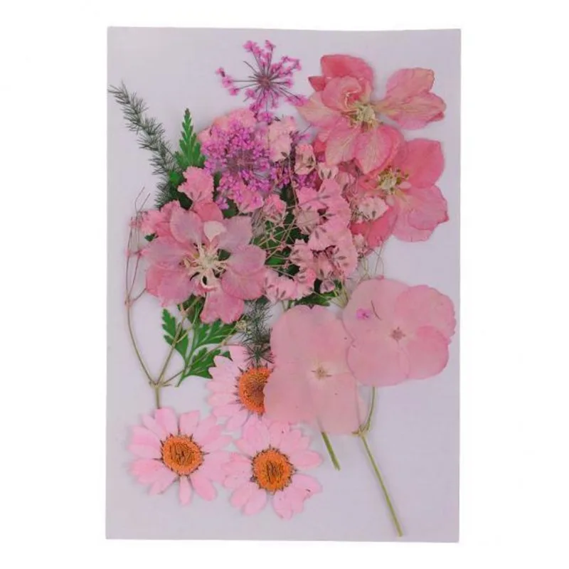 2xmultiple Mix Natural Pressed Dried Flowers Leaves Diy Art