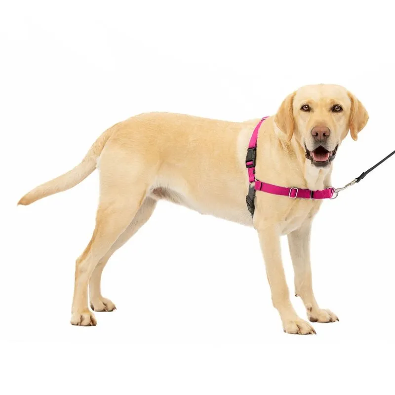 PetSafe Easy Walk Dog Harness - Sem Arnês Pull Dog - Grande, Framboesa