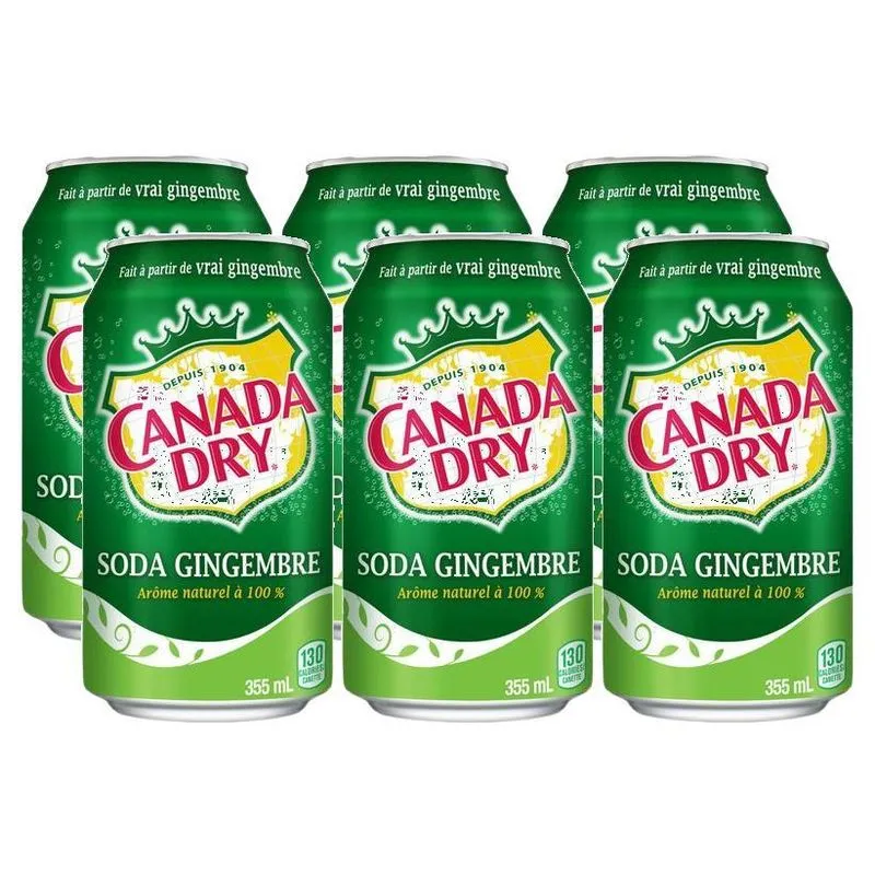 Refrigerante Canada Dry Ginger Ale Caixa Com 6 Latas 355ml