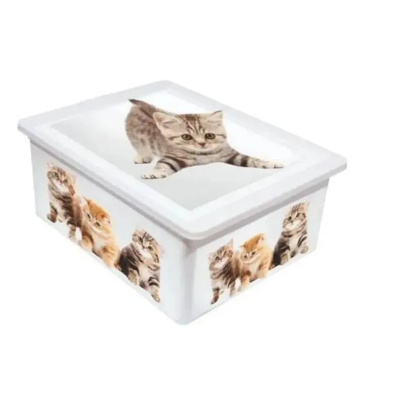 Caixa Plastica Organizadora Decorada Gatinhos Gatos 17l