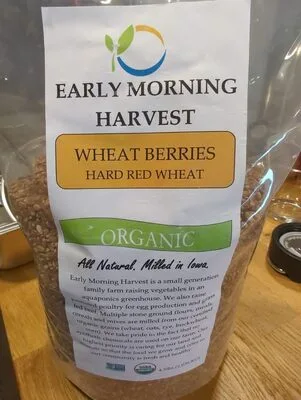 Wheat Berries