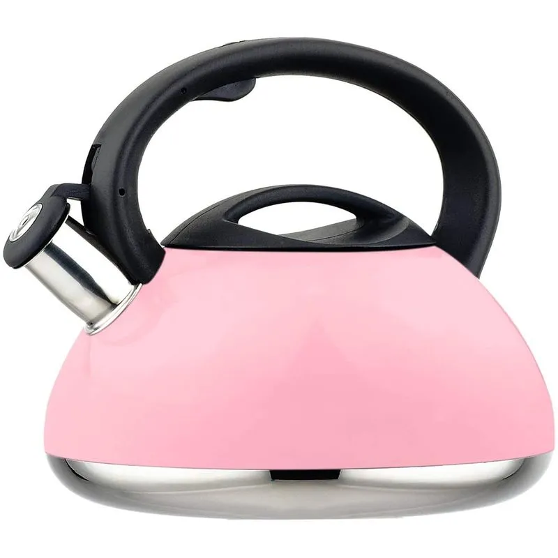 HausRoland Tea Kettle Stainless Steel Whistling 32Quart Stove Top Induction Modern Candy Color Kettle Teapot GS04015A734B Pink