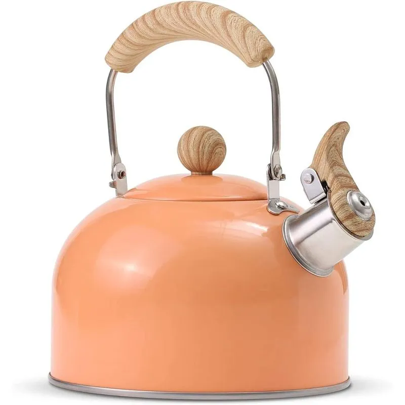 ROCKURWOK Chaleira 2L com Apito e Cabo ergonômico Aço Inoxidável Laranja Claro