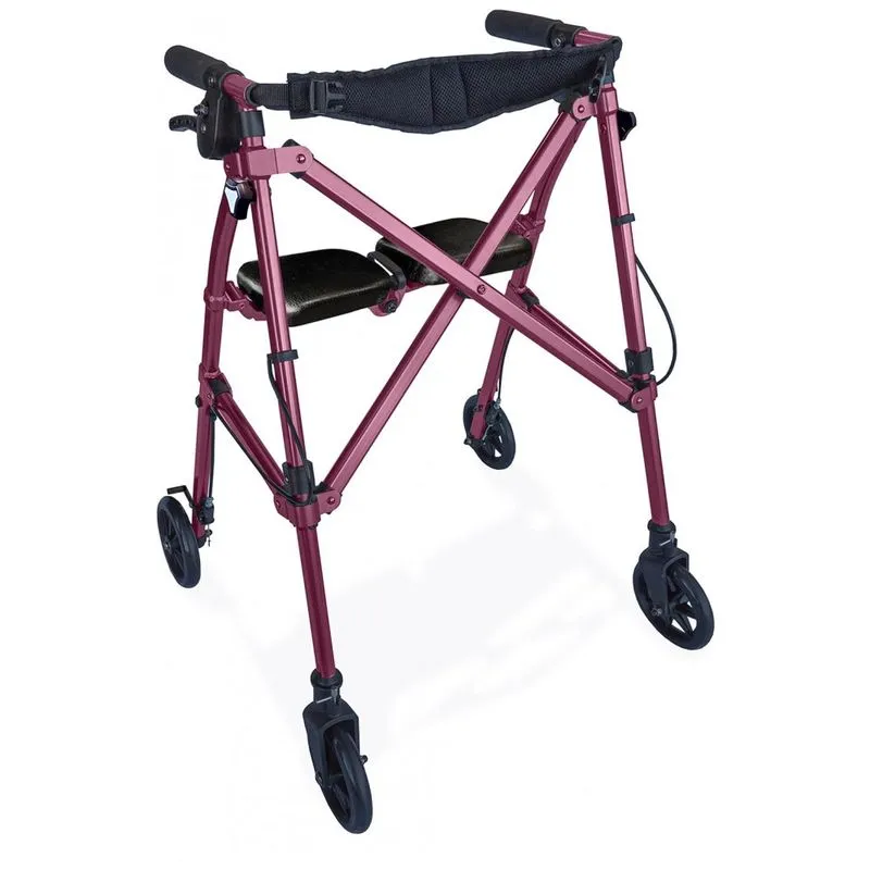 Andador Adulto Idoso Com Assento, Suporta Ate 113 Quilos, Roxo, Able Life Comfortably Independent 4250 Rr, Violeta