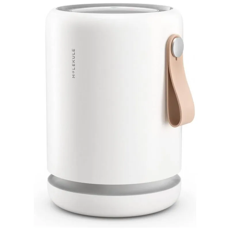 Mini Purificador De Ar Para Esacos De Ate 23 M2, 110v, Molekule, Branco