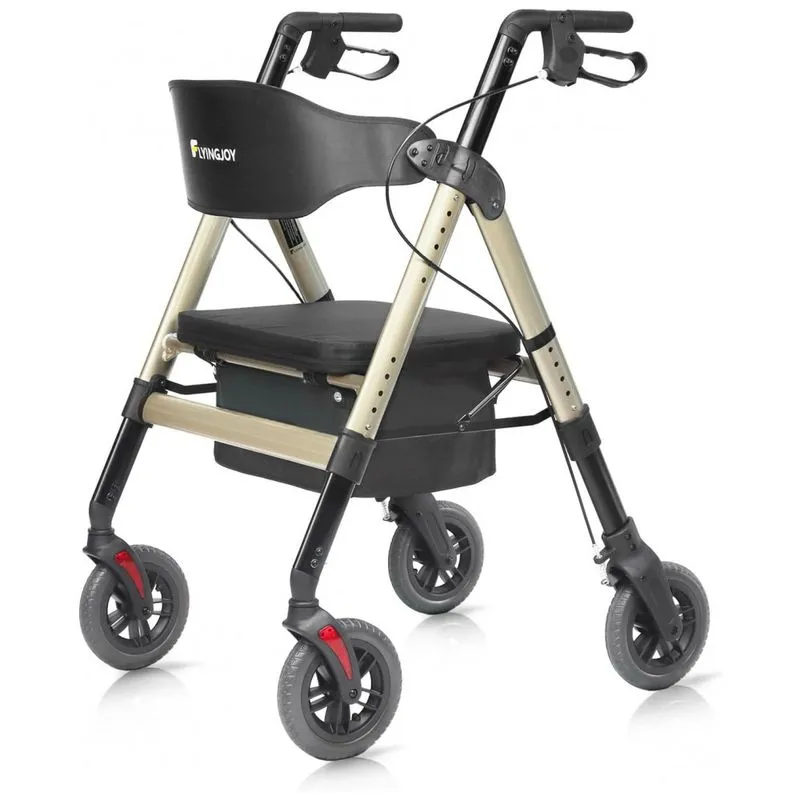 Andador Para Idosos E Adultos Com Assento, Até 200 Quilos, Flyingjoy, Champanhe