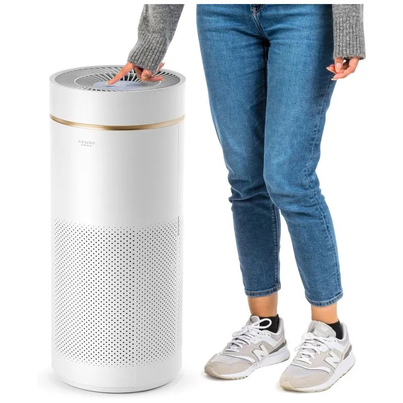 Purificador De Ar Iris Usa Woozoo Para Grandes Ambientes E Quartos Com Filtro H13 True Hepa, Remove Até 99,97% Das Partículas, Pólen, Pelos De Animais