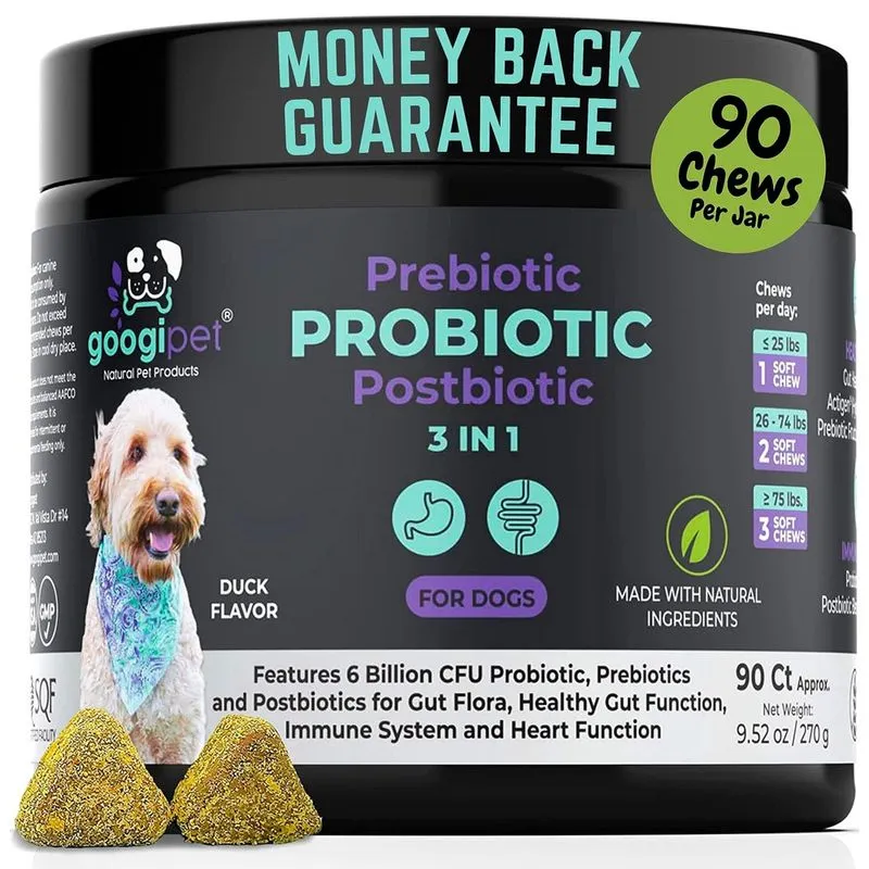Probiótico para cães Googipet Probióticos 6 bilhões de cfu